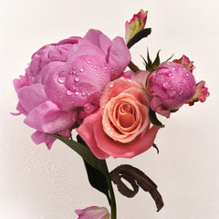Scent Layering Trio E3