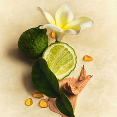 Mini Hair & Body Mist V0