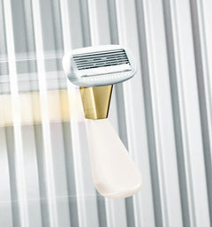 The Mini Razor E1